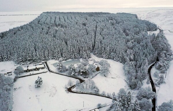 snow cover