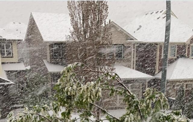 Click to enlarge snow