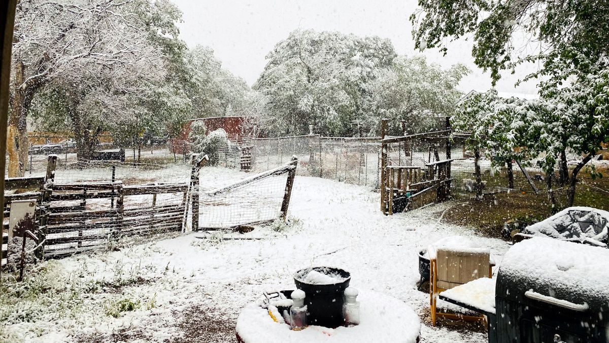 Jennifer Baker submitted this photo of snow in Coleville, Calif.