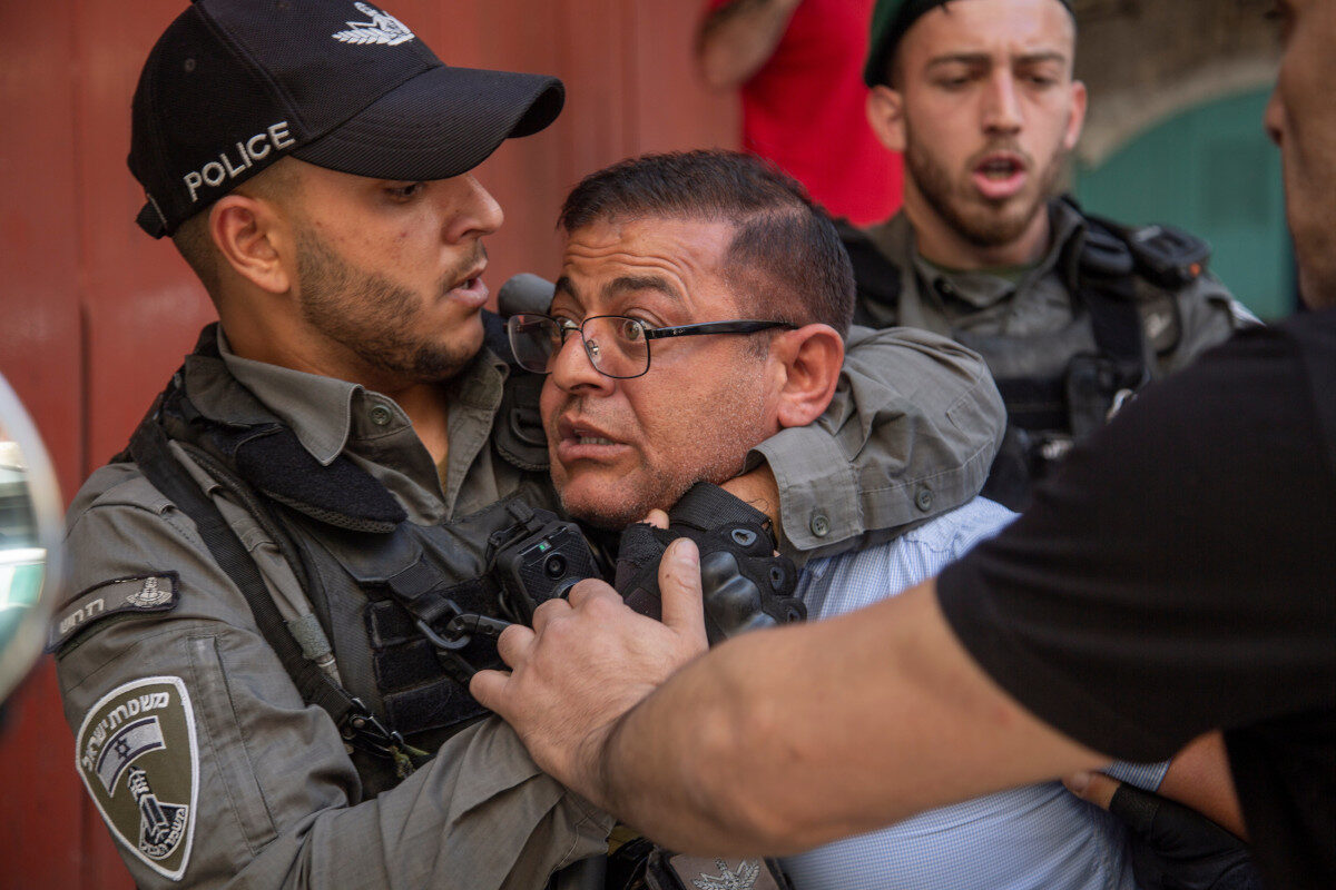 Click to enlarge IDF Brutes