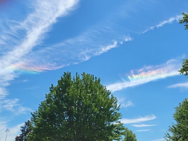 Click to enlarge circumhorizontal arc in OH
