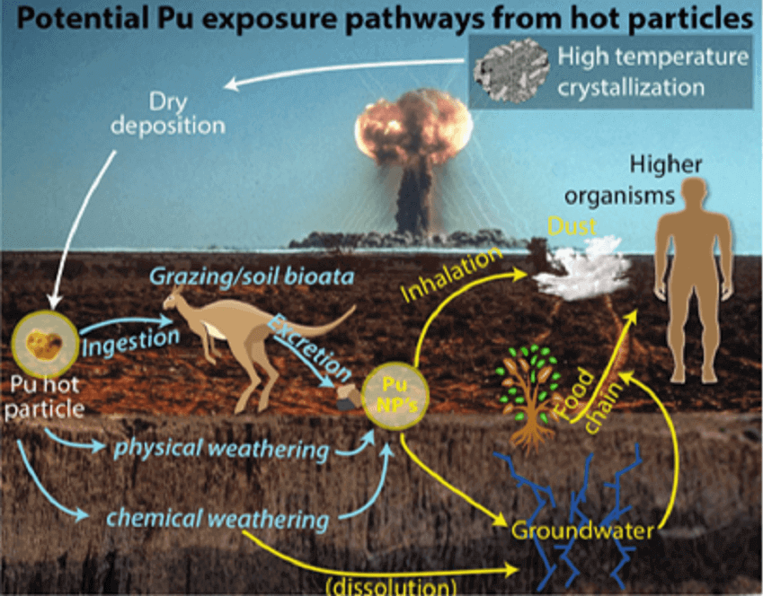 Click to enlarge Radioactive Particles