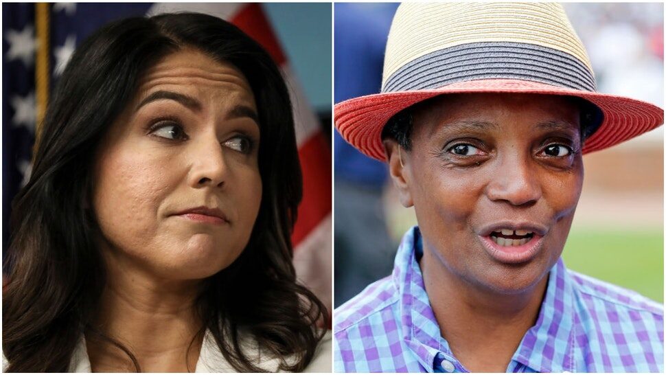 Click to enlarge tulsi gabbard lori lightfoot