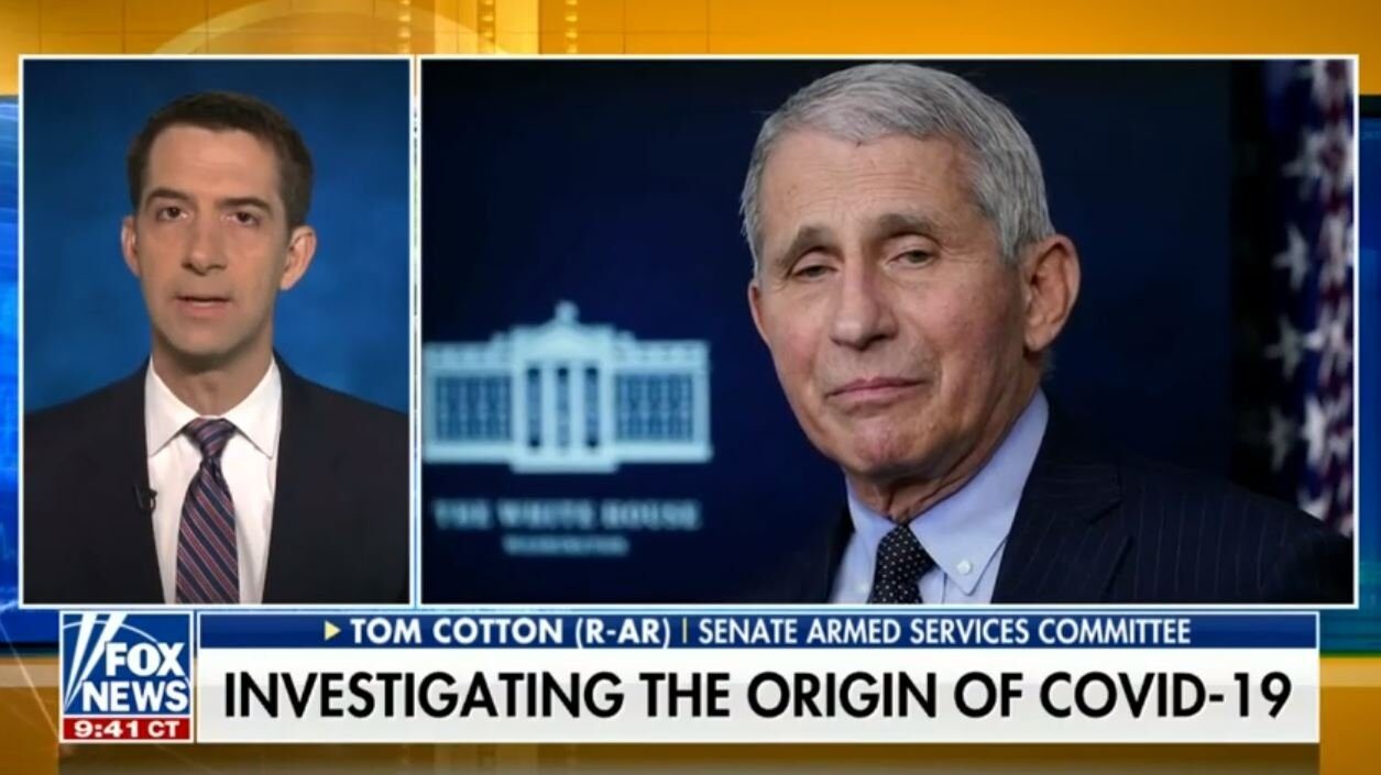 Click to enlarge tom cotton faucie