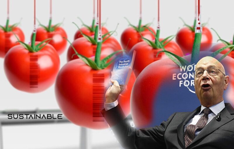 Click to enlarge great reset food