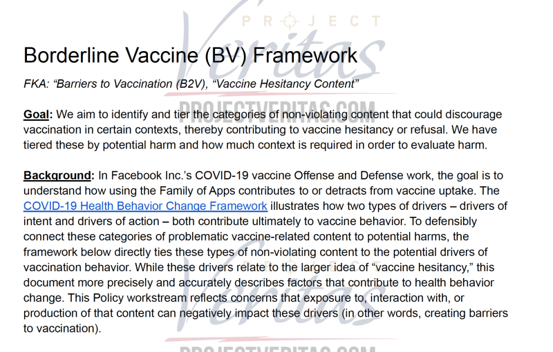 Borderline vaccine framework