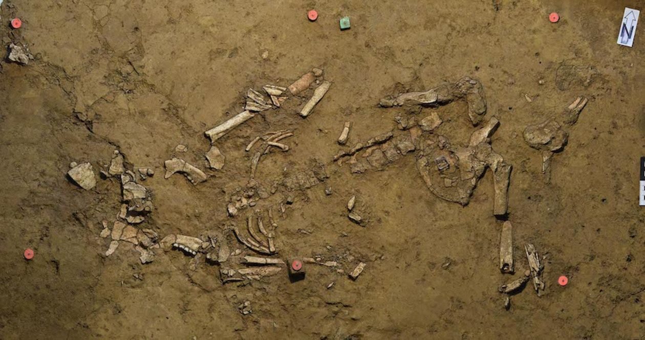 Dig Site