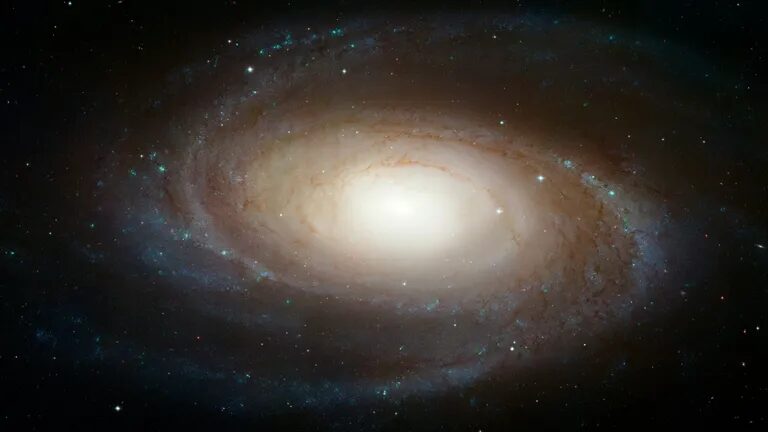 M81 galaxy