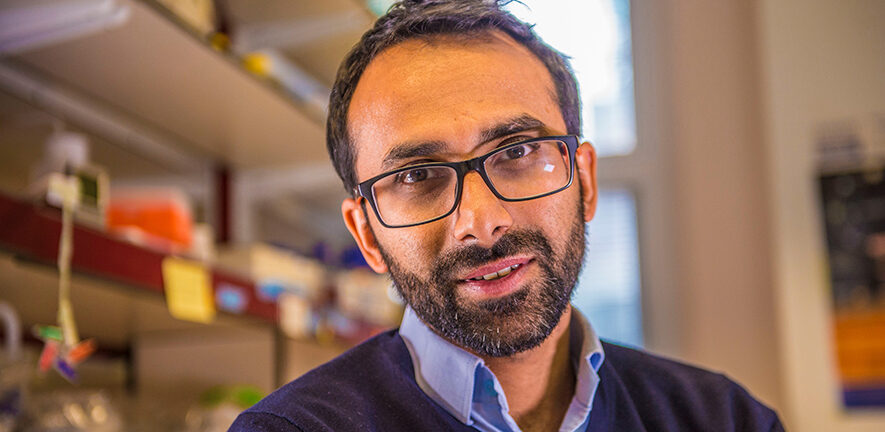 Click to enlarge Ravi Gupta