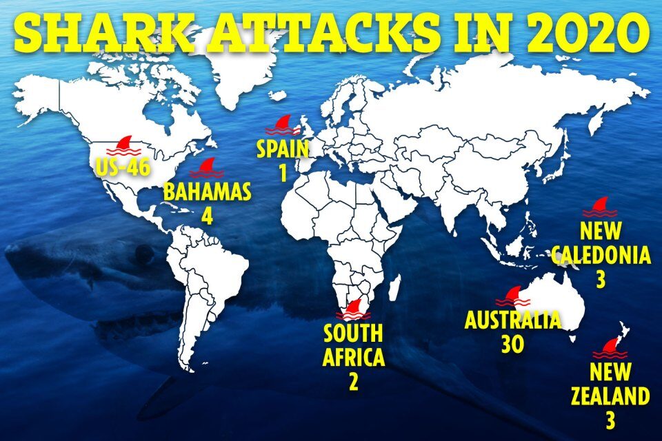 The US had the most shark attacks last year