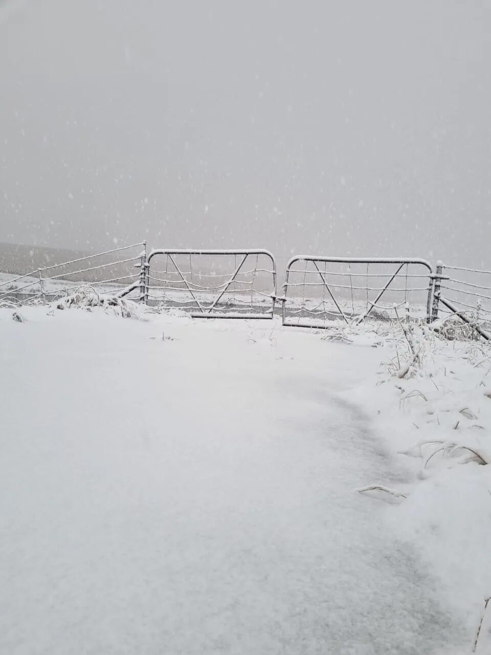 Click to enlarge snow