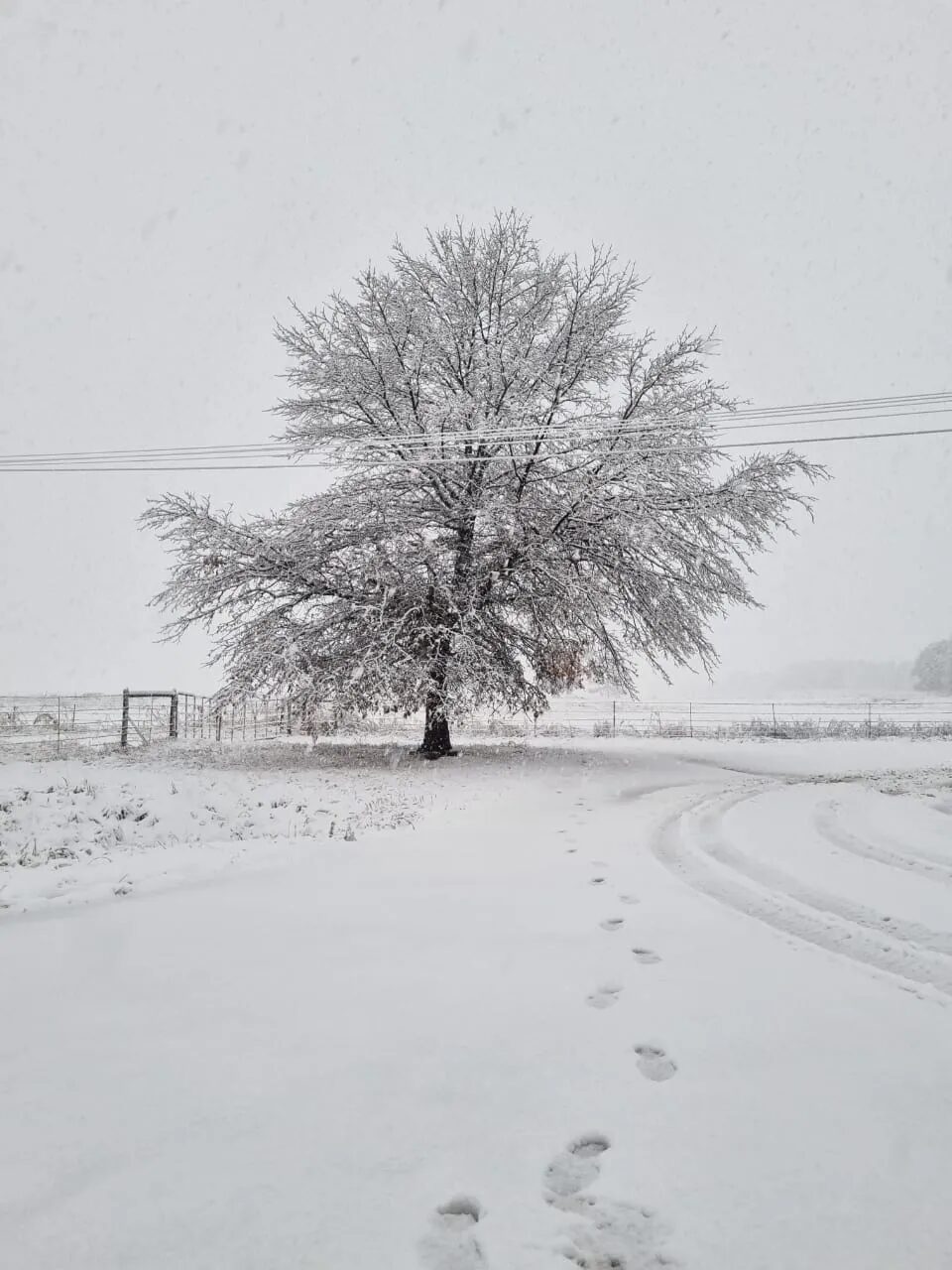 Click to enlarge snow