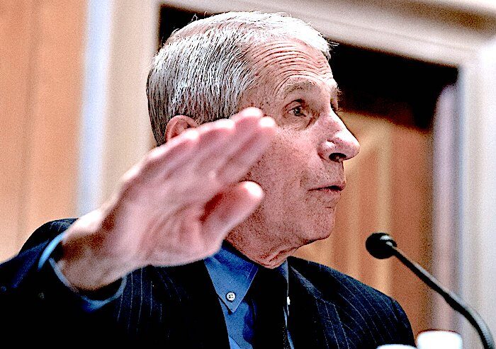 Click to enlarge Fauci