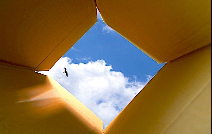 Outside the box