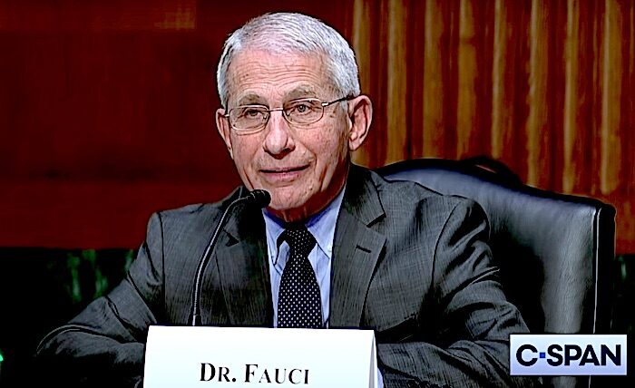 Click to enlarge Fauci