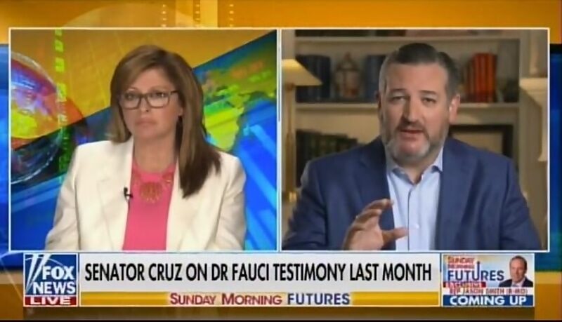 Click to enlarge ted cruz maria bartimo fauci covid