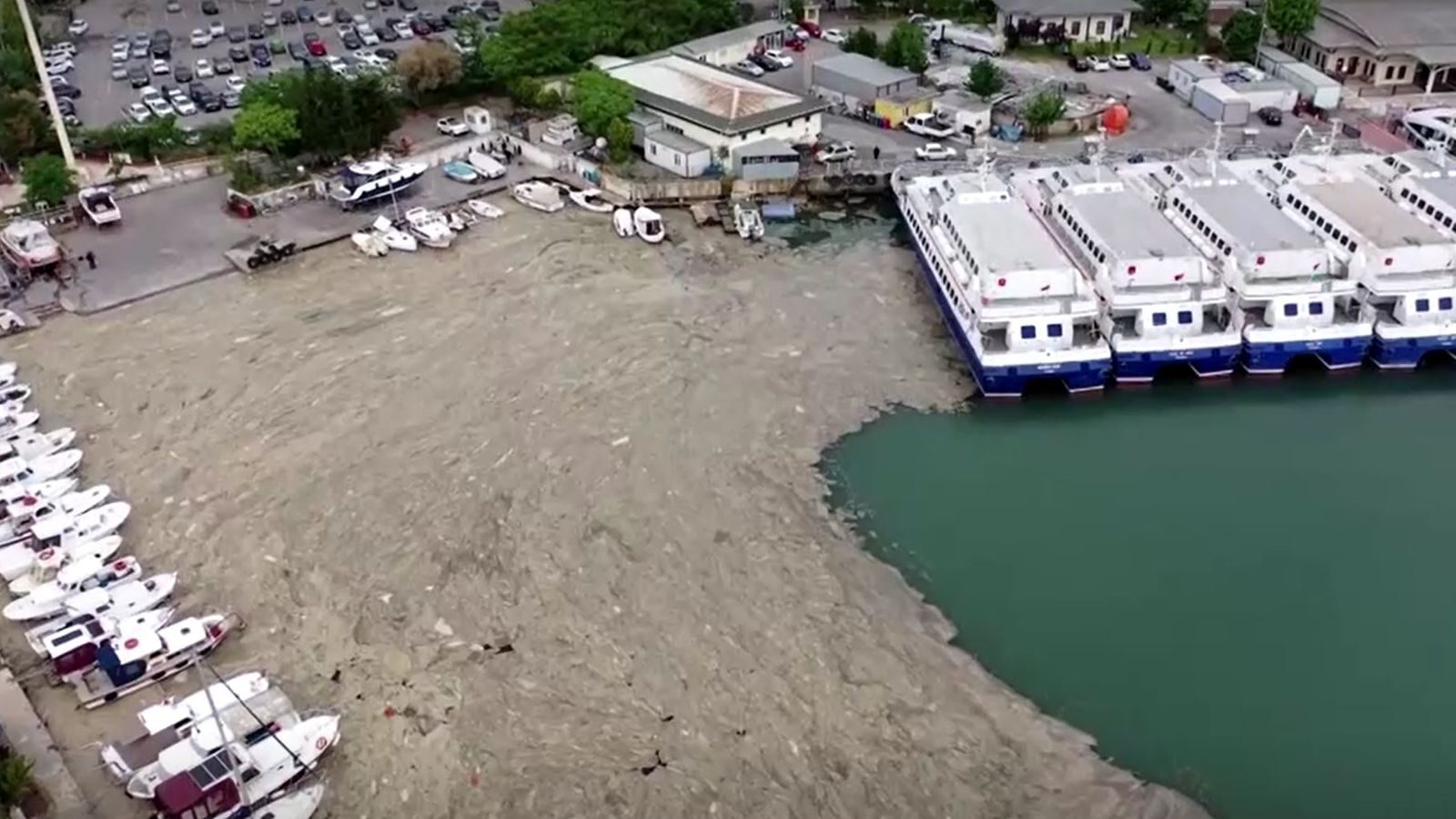The 'snot' is affecting Turkey's Sea of Marmara