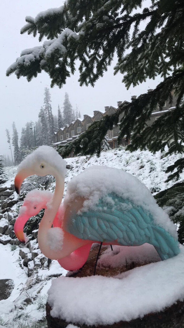 snow