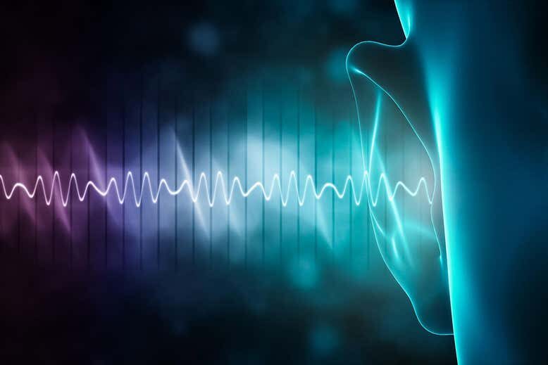 Echolocation