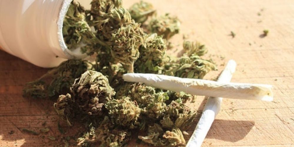 marijuana