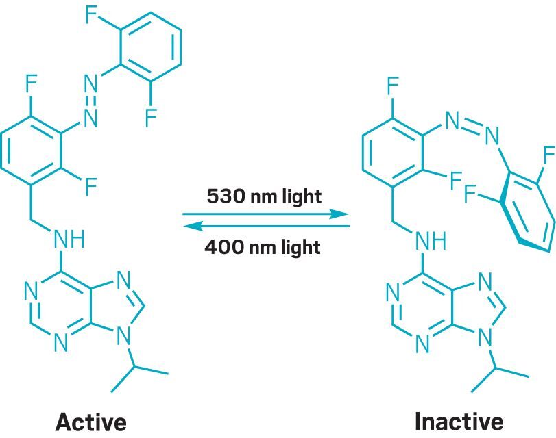 Light Activated Cells