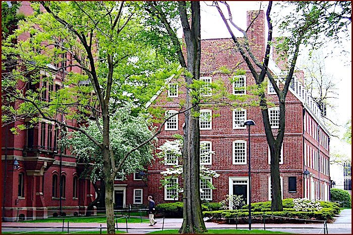 Click to enlarge Harvard