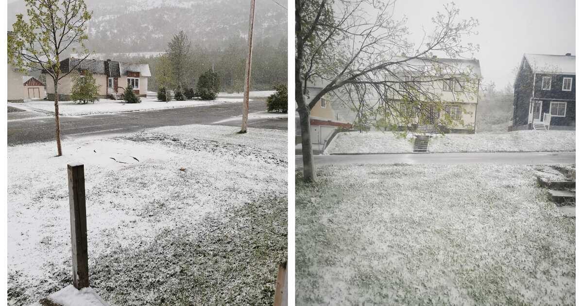 snow