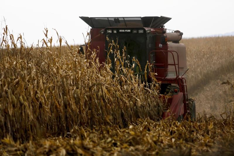 farm fields harvest