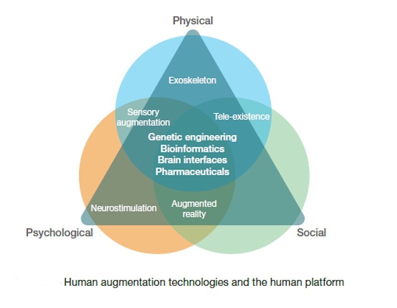 physical psychological social
