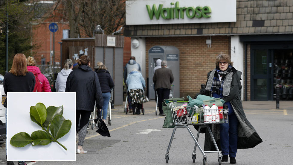Click to enlarge waitrose market kaffir leaves