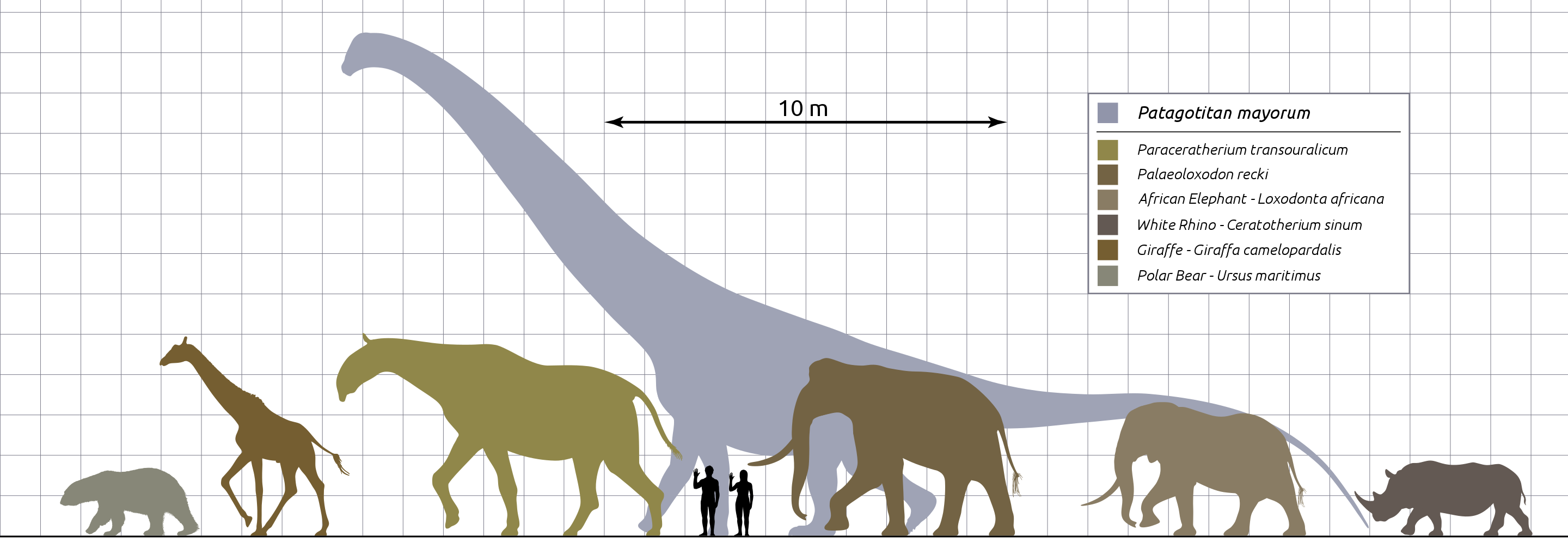 Click to enlarge giant rhino