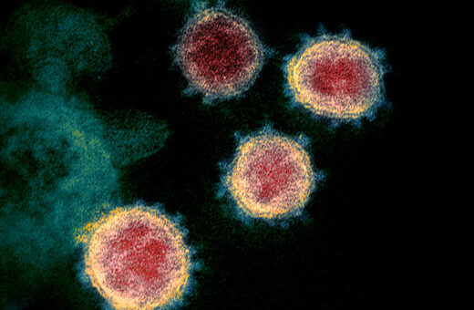 Click to enlarge covid virus