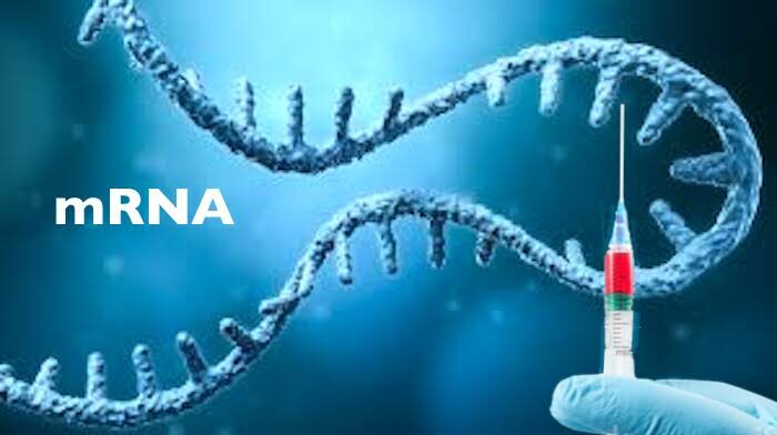 mRNA