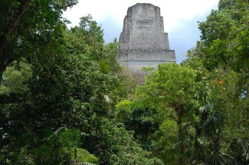 Click to enlarge Tikal maya