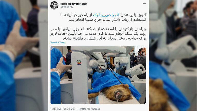 robot operation dog