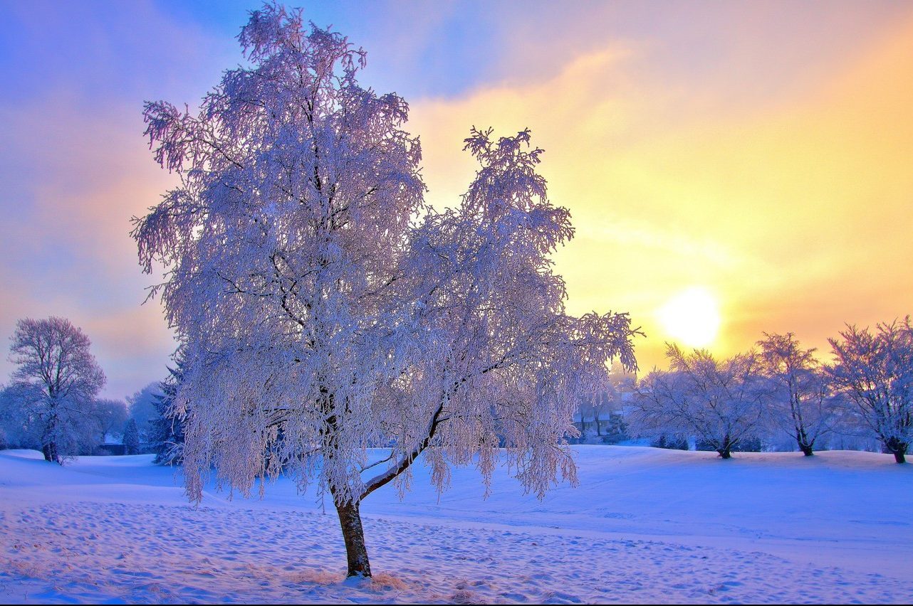 cold