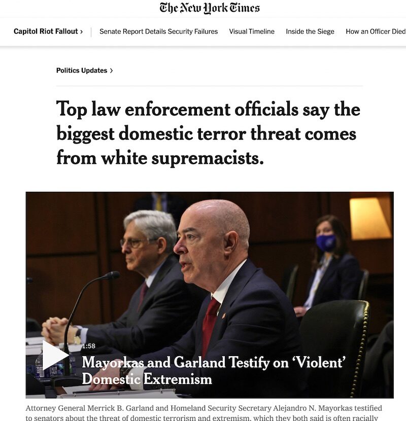 Click to enlarge domestic War on Terror framework