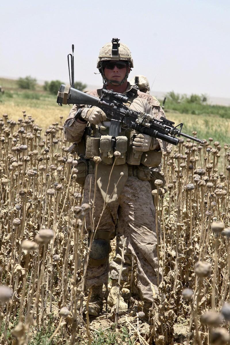 A US Marine stands in a poppy field