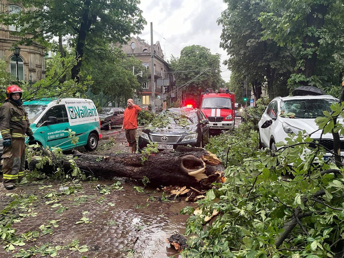 Click to enlarge damage