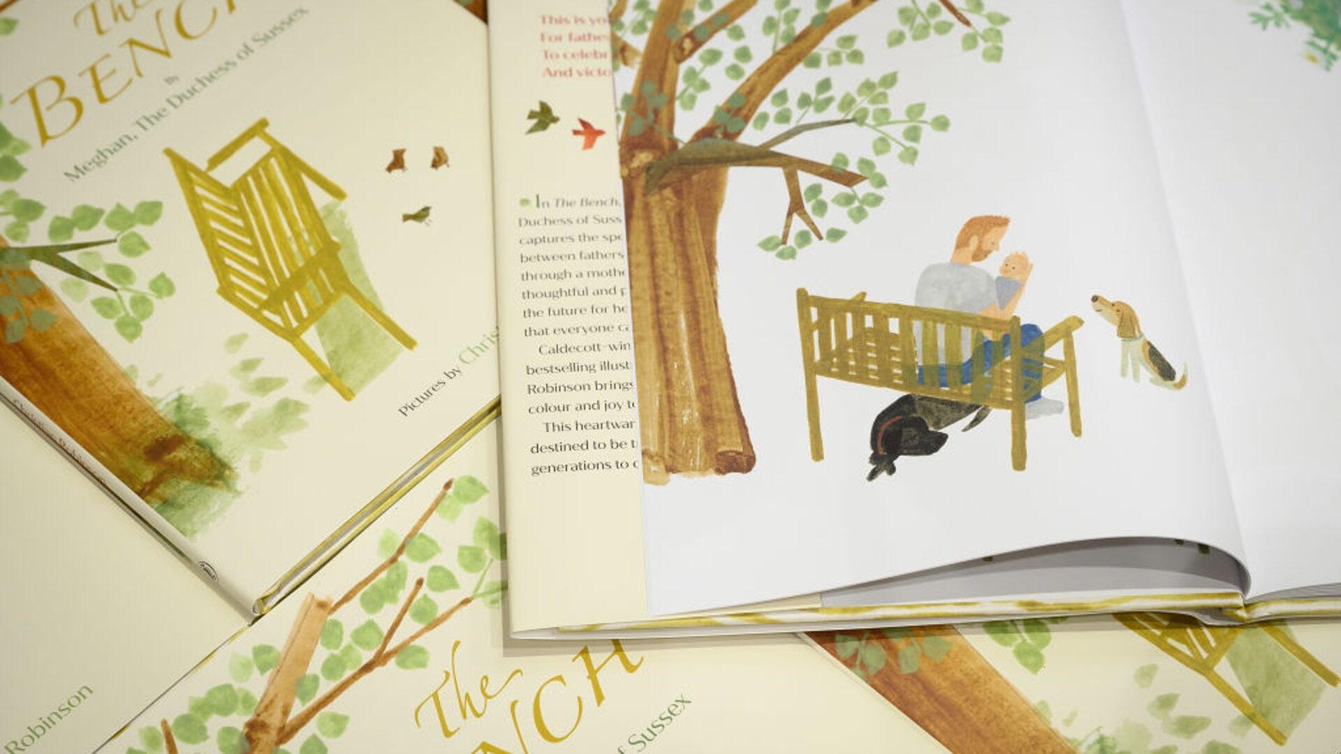 children's book