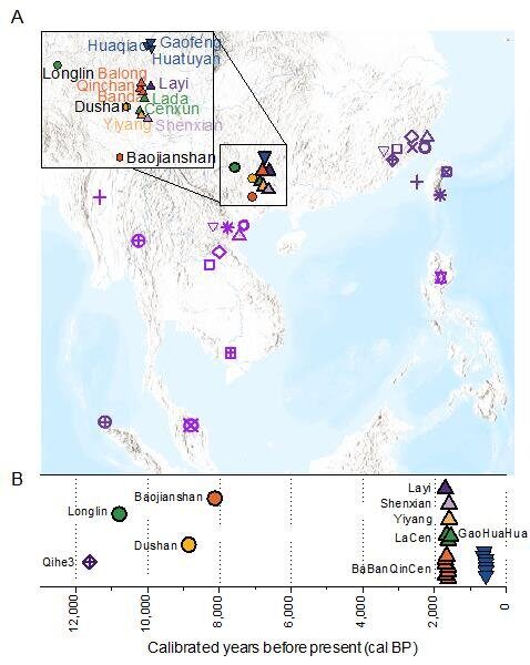 Click to enlarge prehistory genetic asia