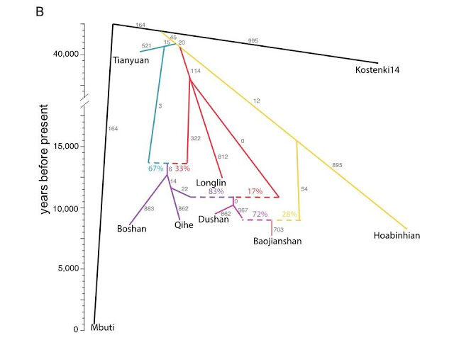 Click to enlarge Phylogenetic