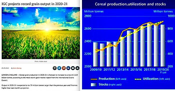 corn image/graph