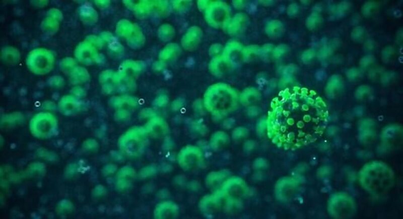 covid coronavirus illustration graphic