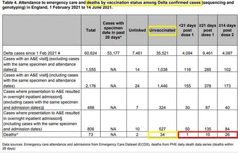emergency room stats deaths delta variant covid
