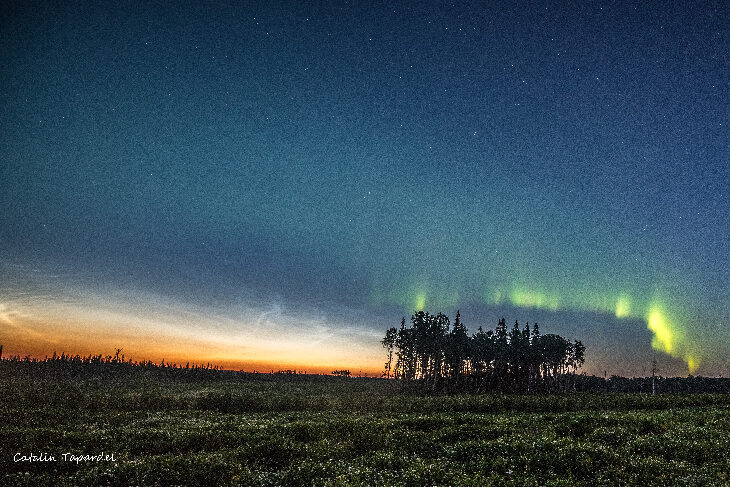 Aurora & NLC's over Canada