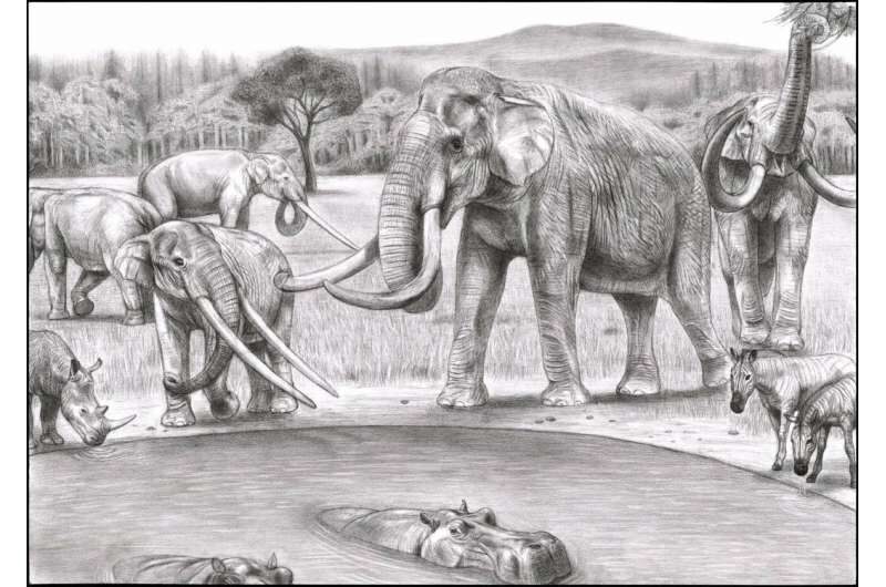 Click to enlarge mammoths