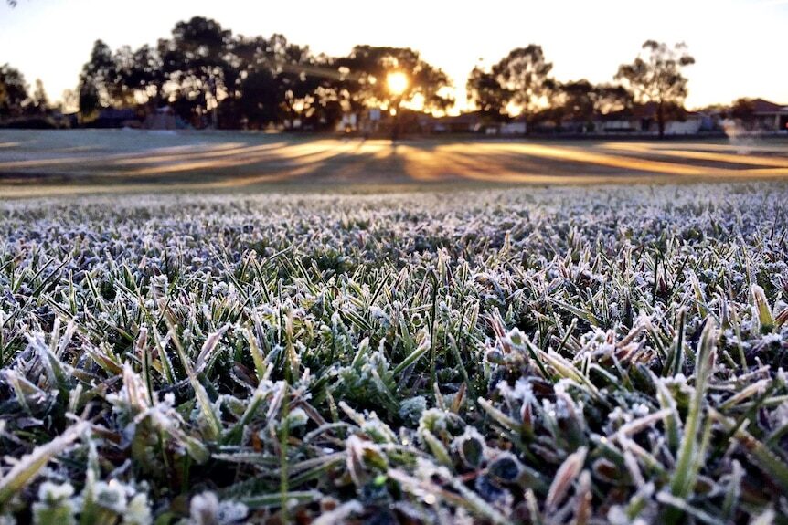 The Perth metro recorded five consecutive cold nights with minimum temperatures below 5C during June.