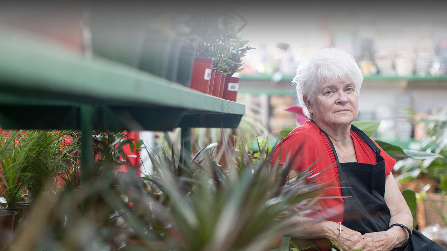 Click to enlarge barronelle stutzman arlenes flowers lgbt lawsuit