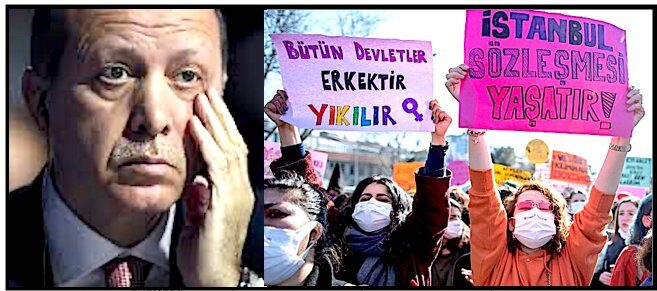 Erdogan/protesters